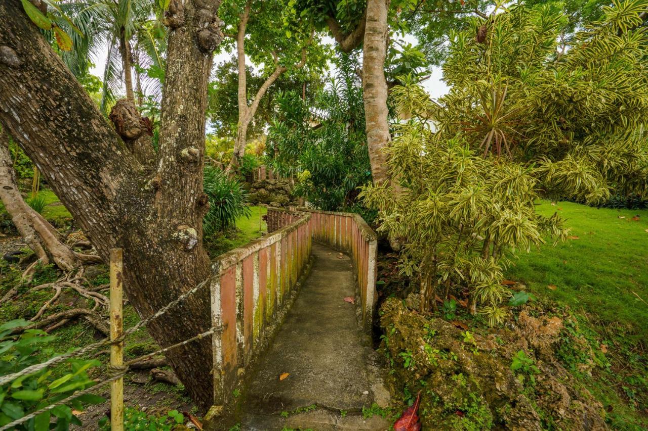 Weyh'S Studio #1 By The Ocean 100Mbps Panglao Island Exterior photo