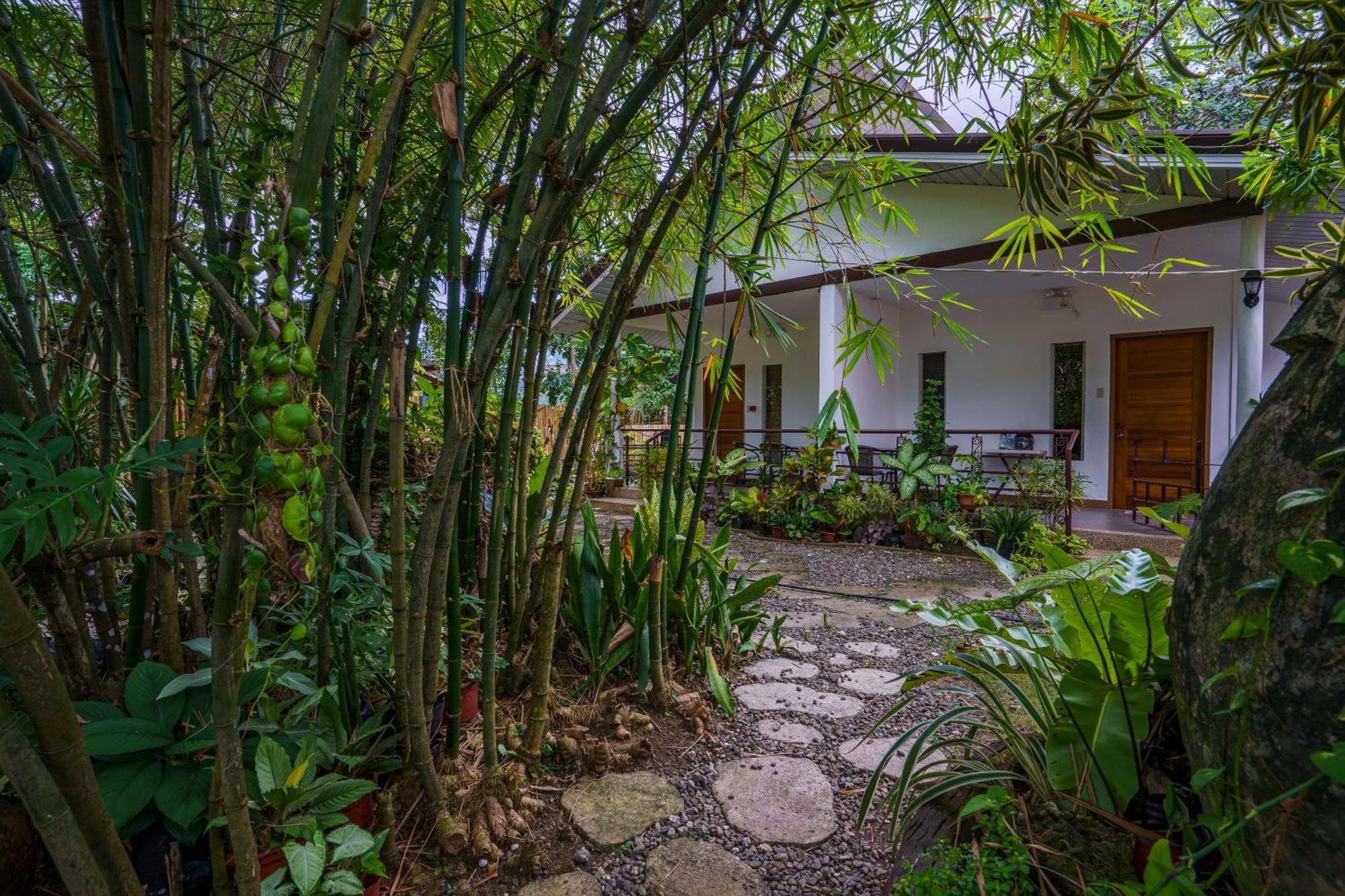 Weyh'S Studio #1 By The Ocean 100Mbps Panglao Island Exterior photo